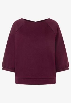 0564 ruby orchi