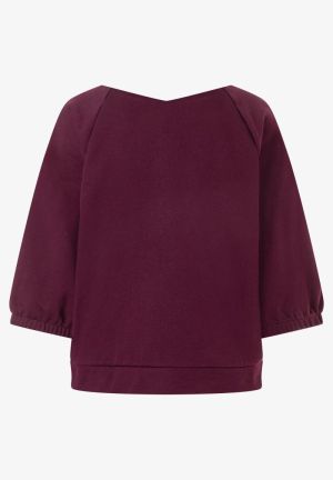 0564 ruby orchi