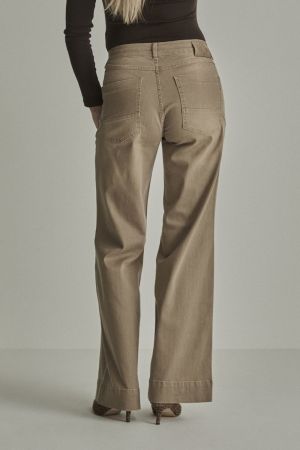  204 camel