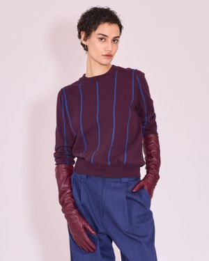  183 plum/blue