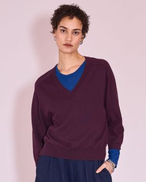  482 plum