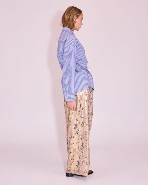 530 cornflower