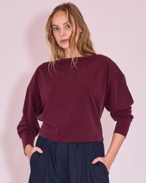  482 plum