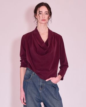  482 plum